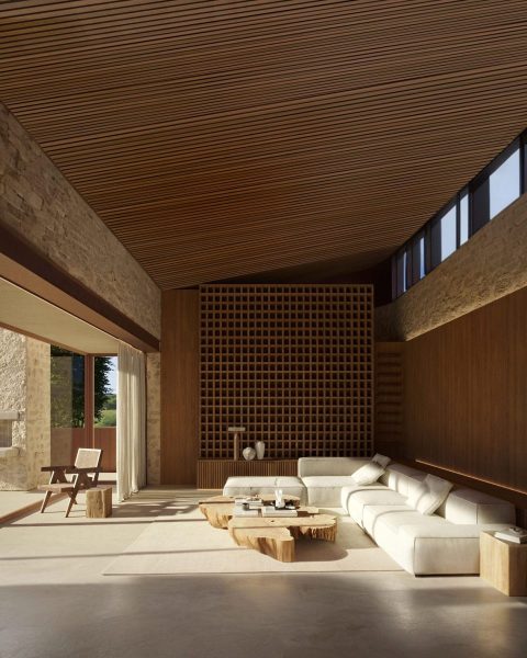 Minimalist living room with wood ceiling and natural decor - IB house