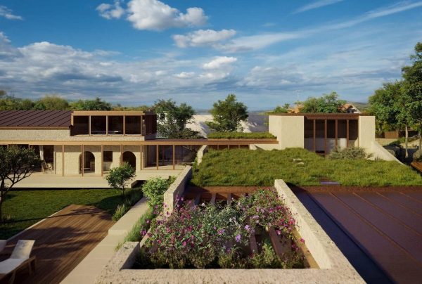 Contemporary sustainable home with rooftop greenery - IB house