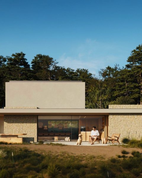 Minimalist Modern Home with Stone Facade and Glass Front in a Natural Forest Setting - MyLi house